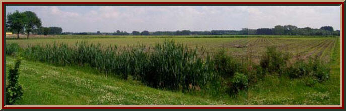Outside the village of Boxtel